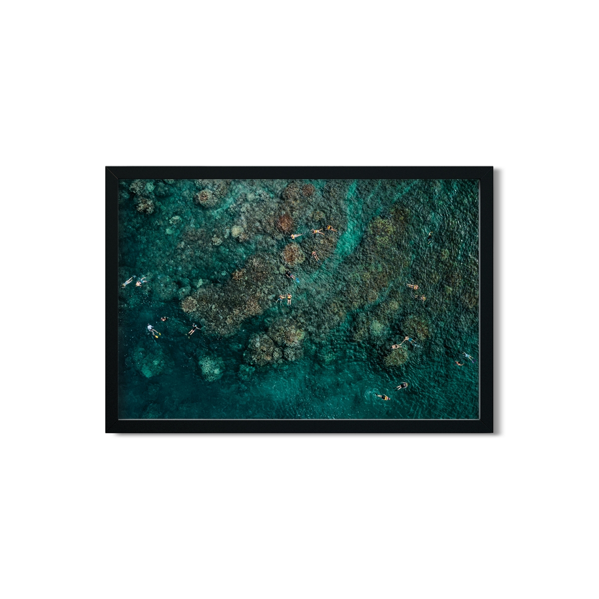 MAUI SNORKELERS