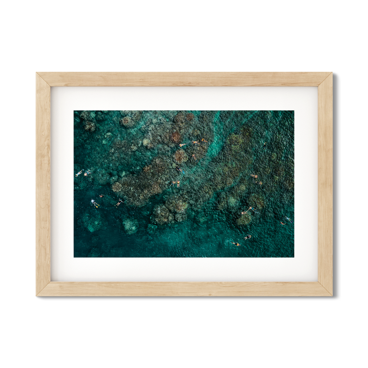 MAUI SNORKELERS