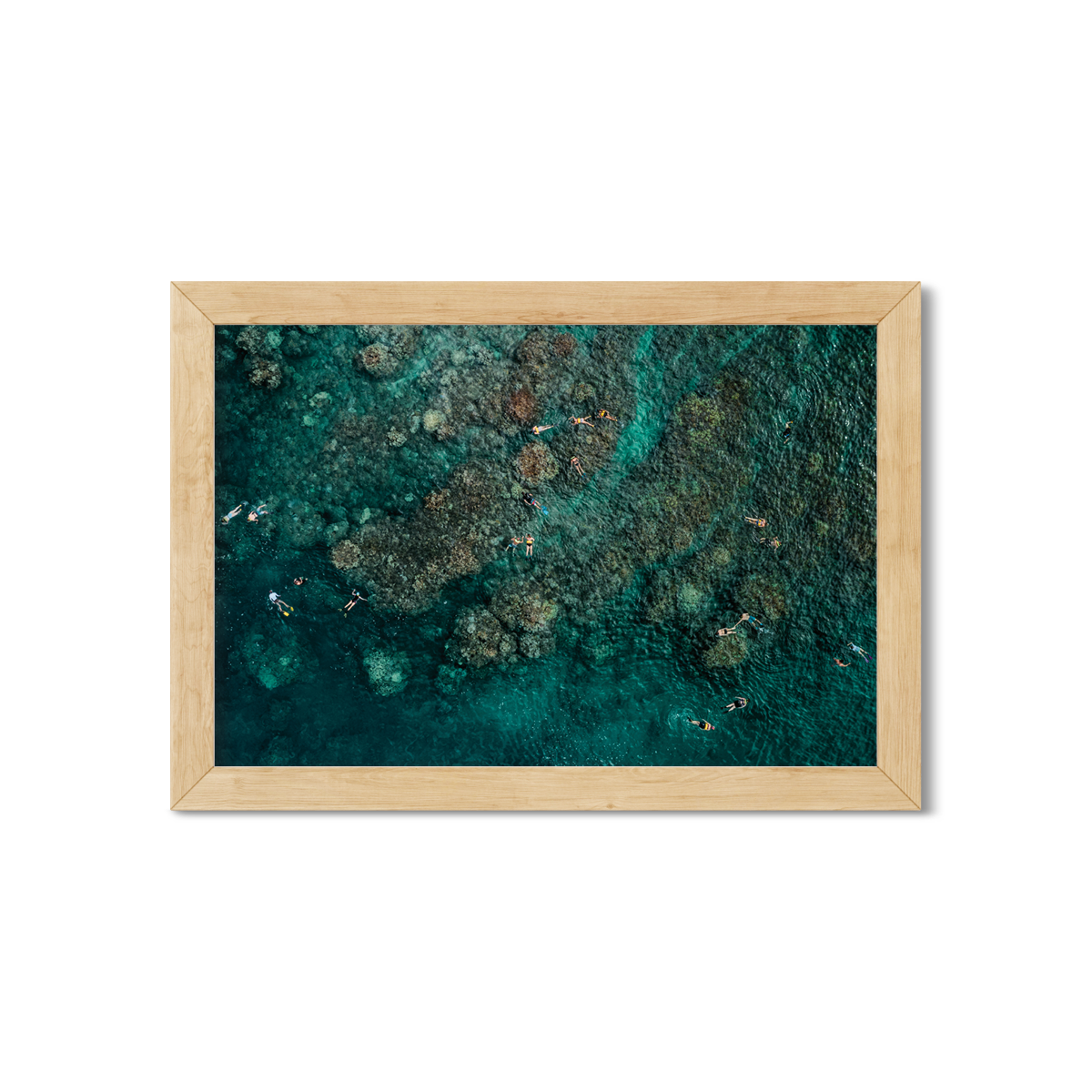 MAUI SNORKELERS