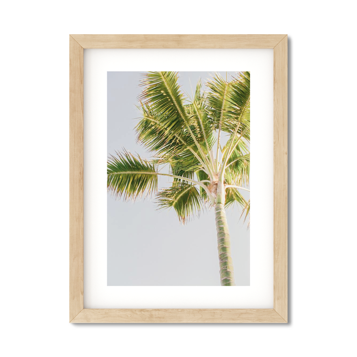 PALM