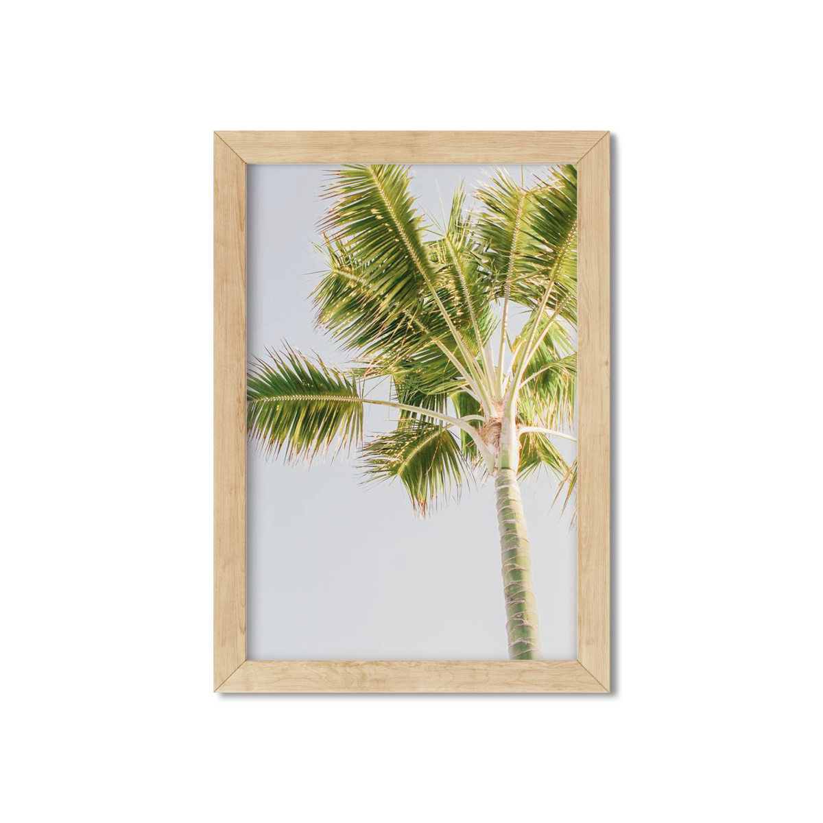 PALM