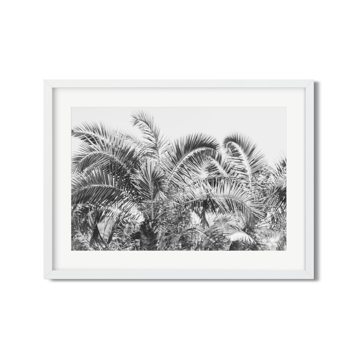 PALM FRONDS NO. 2