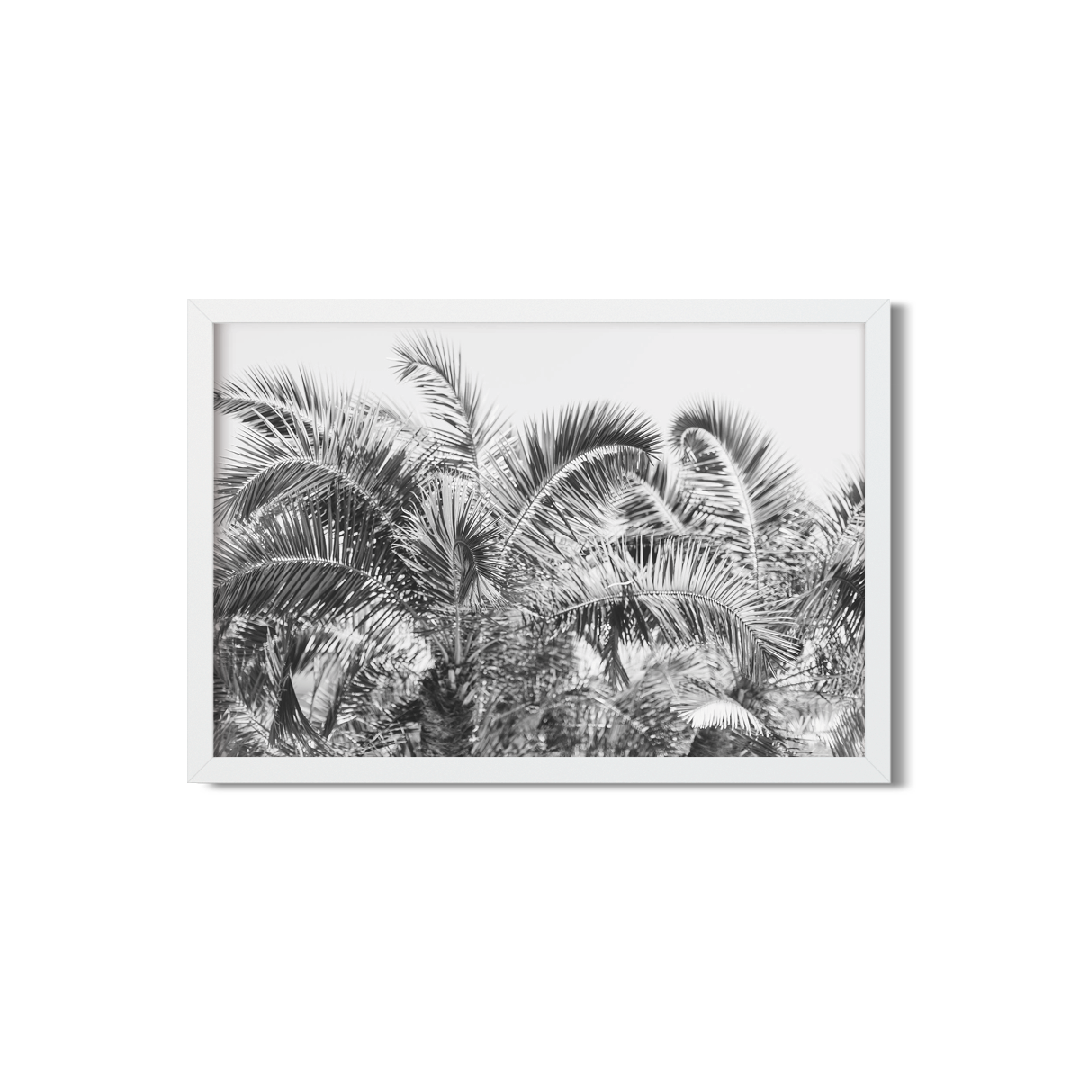 PALM FRONDS NO. 2