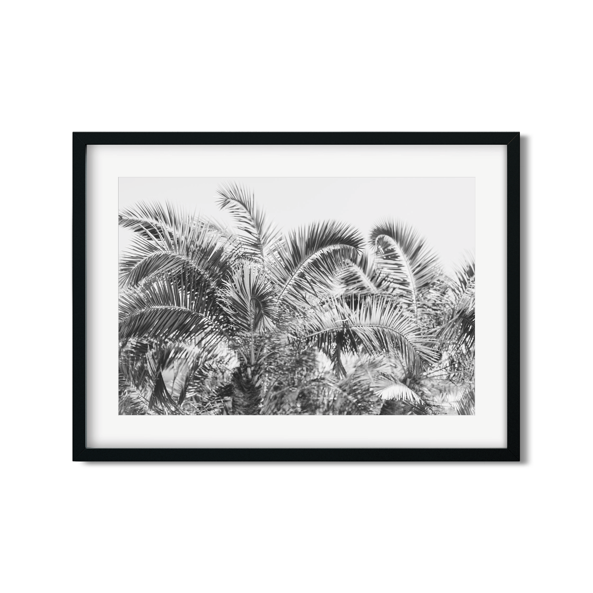PALM FRONDS NO. 2