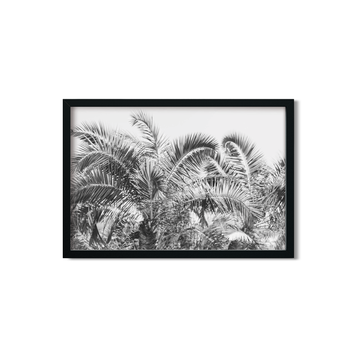 PALM FRONDS NO. 2