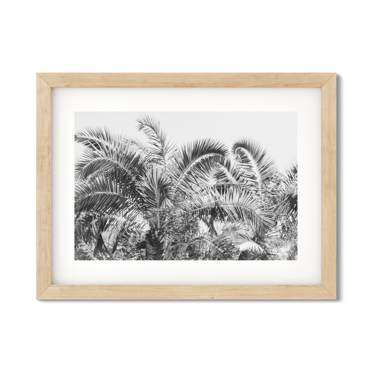 PALM FRONDS NO. 2