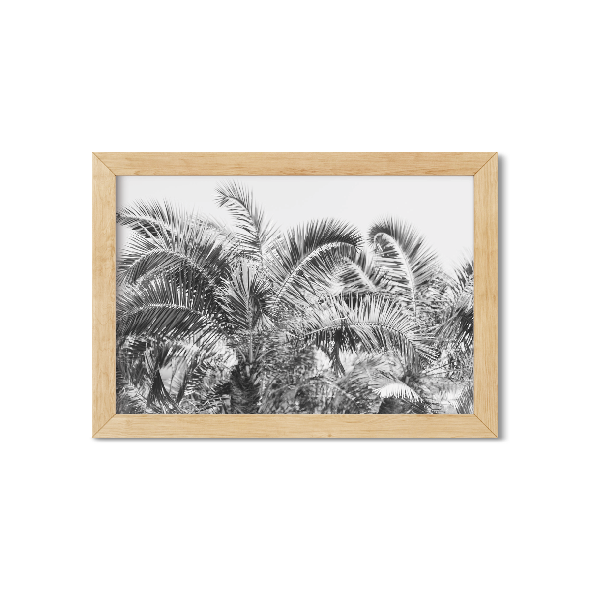 PALM FRONDS NO. 2