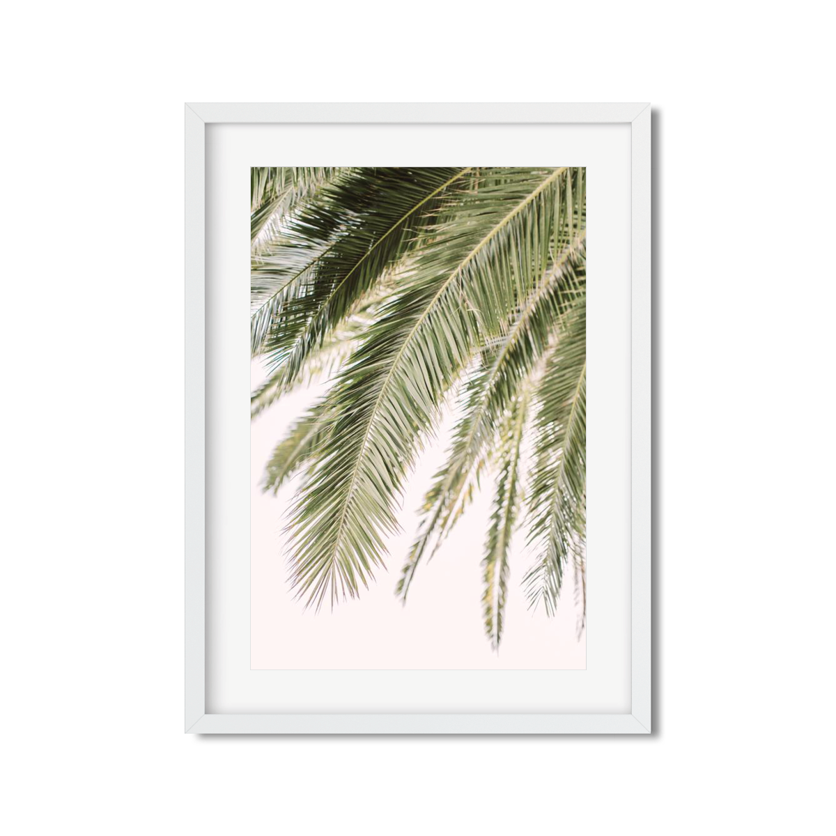 PALM FRONDS NO. 3