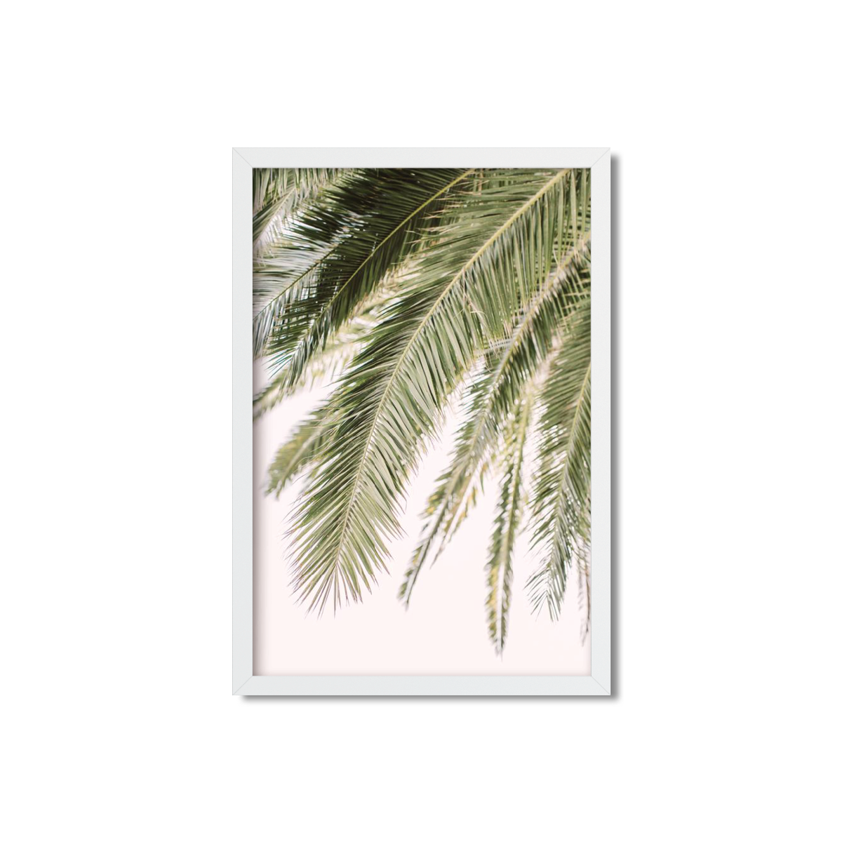 PALM FRONDS NO. 3