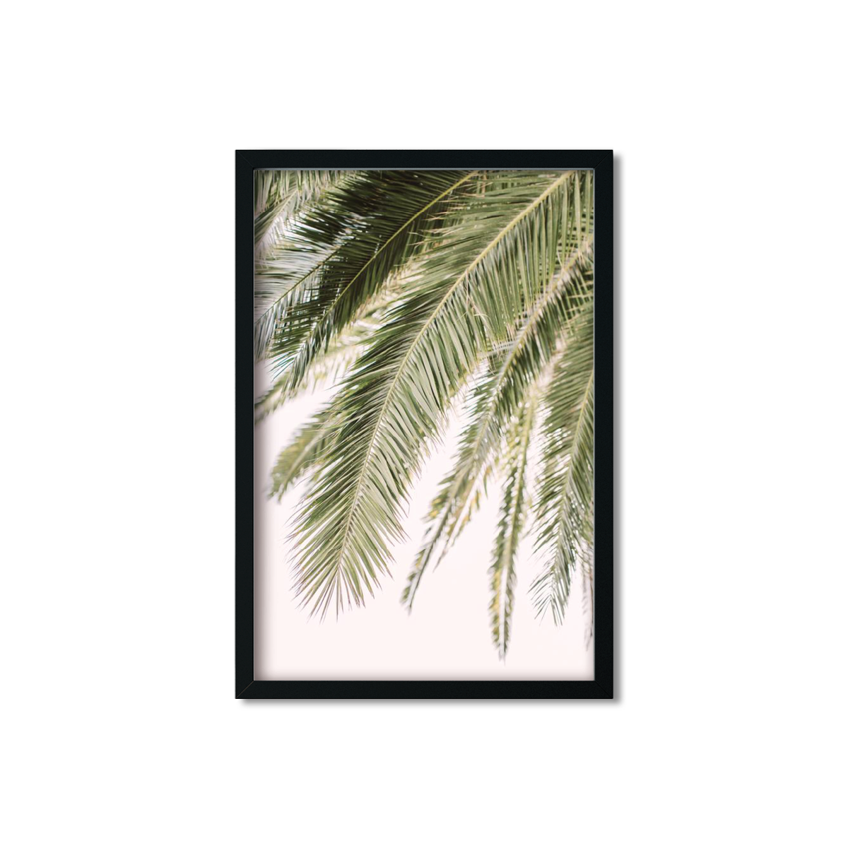 PALM FRONDS NO. 3