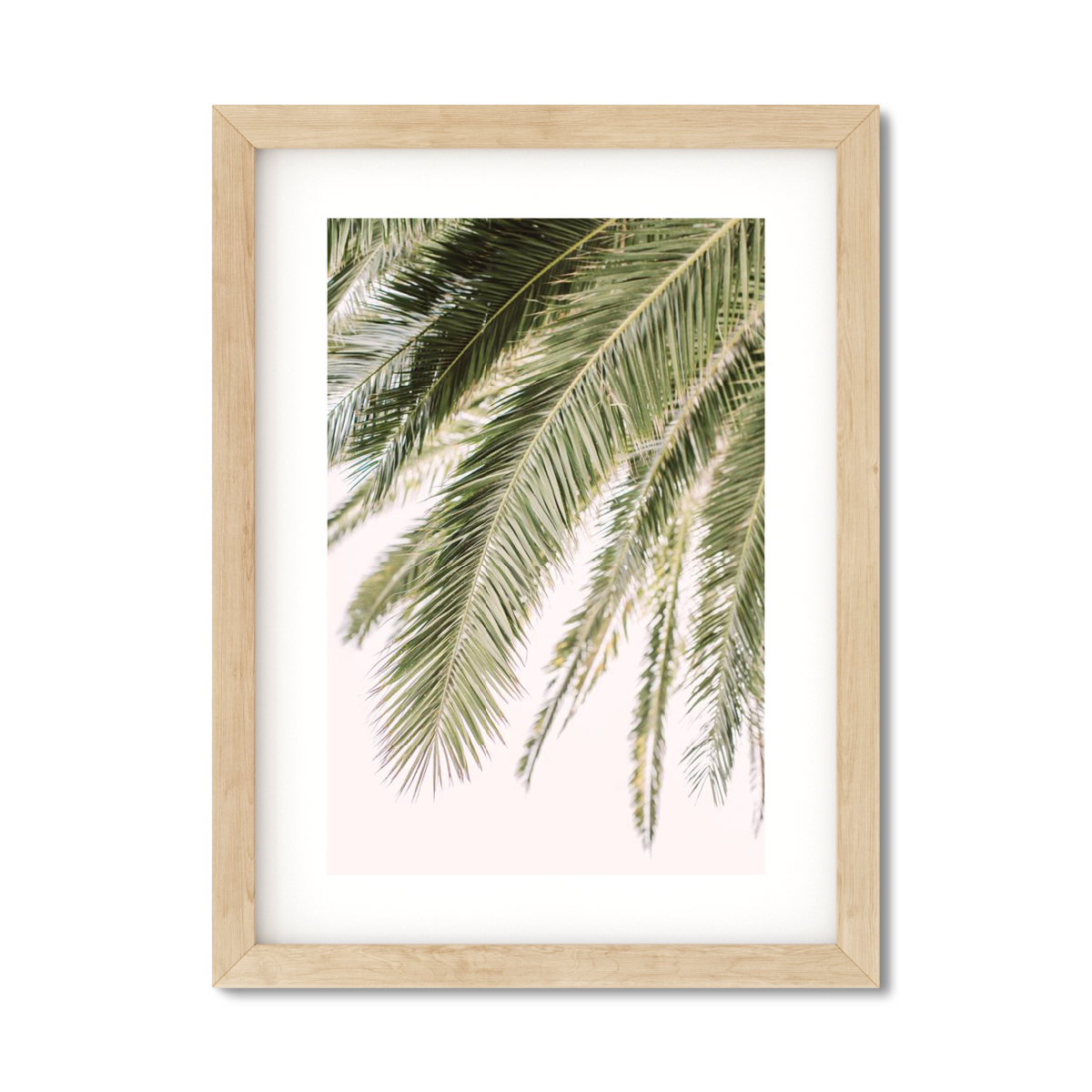 PALM FRONDS NO. 3