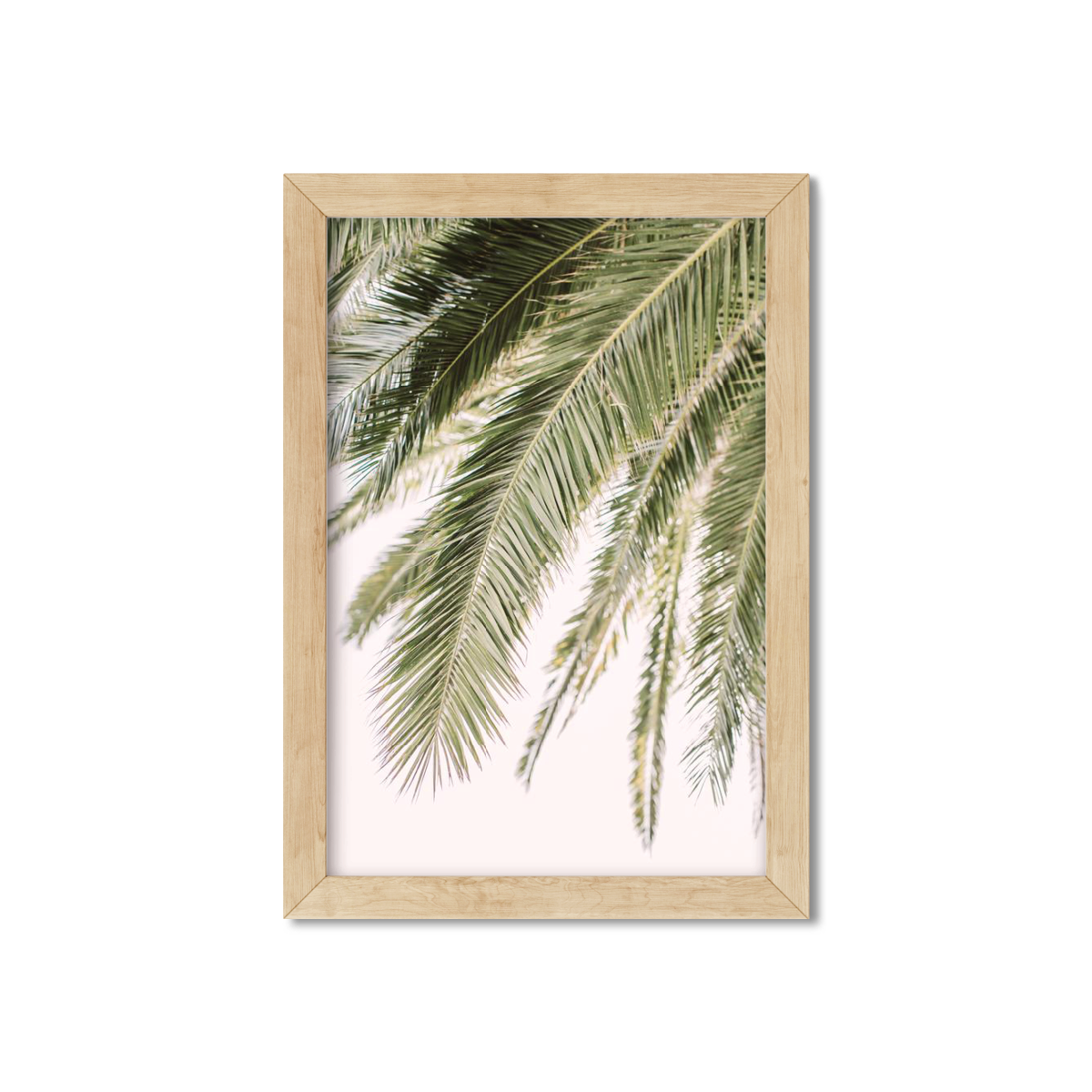 PALM FRONDS NO. 3