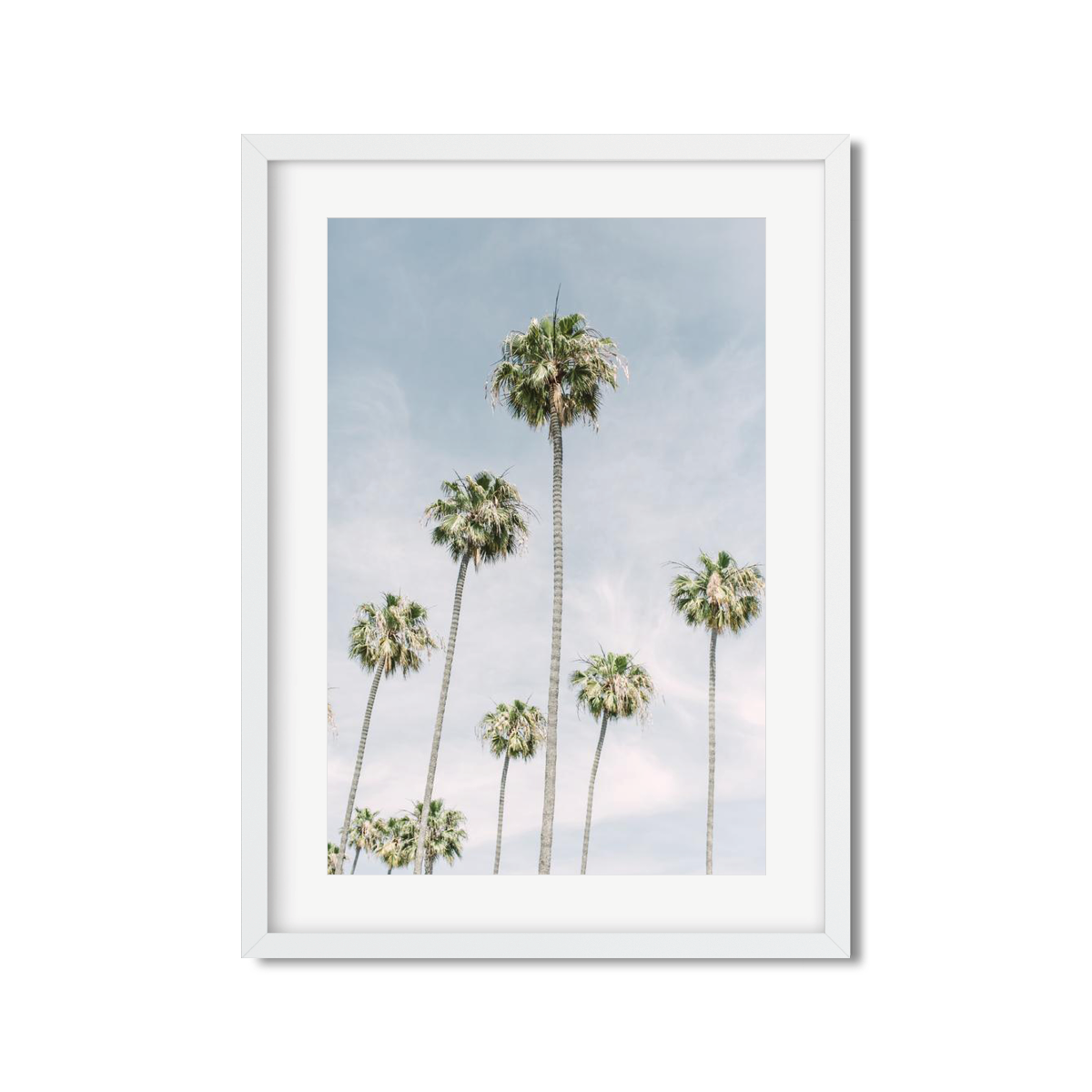 PALM LINE