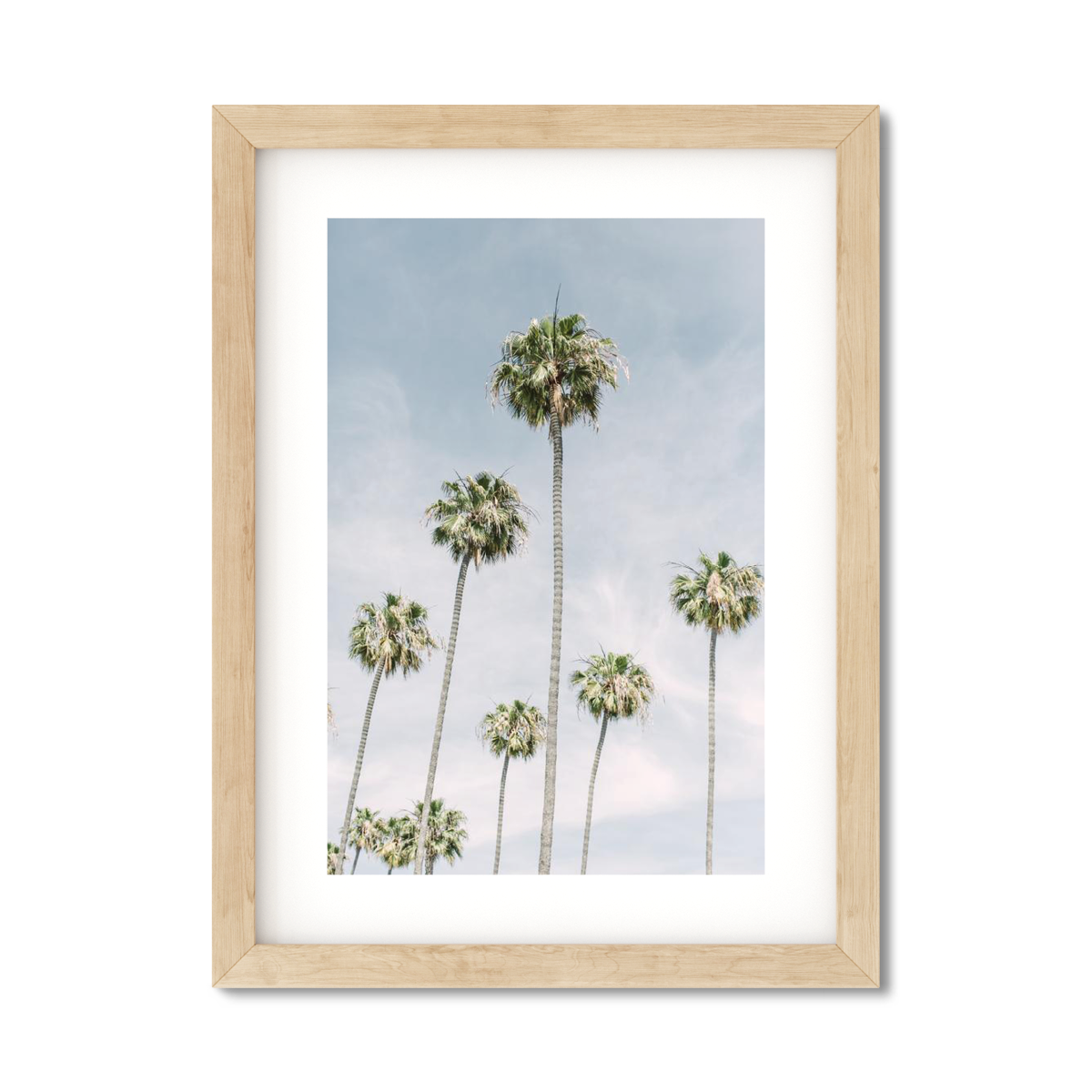 PALM LINE