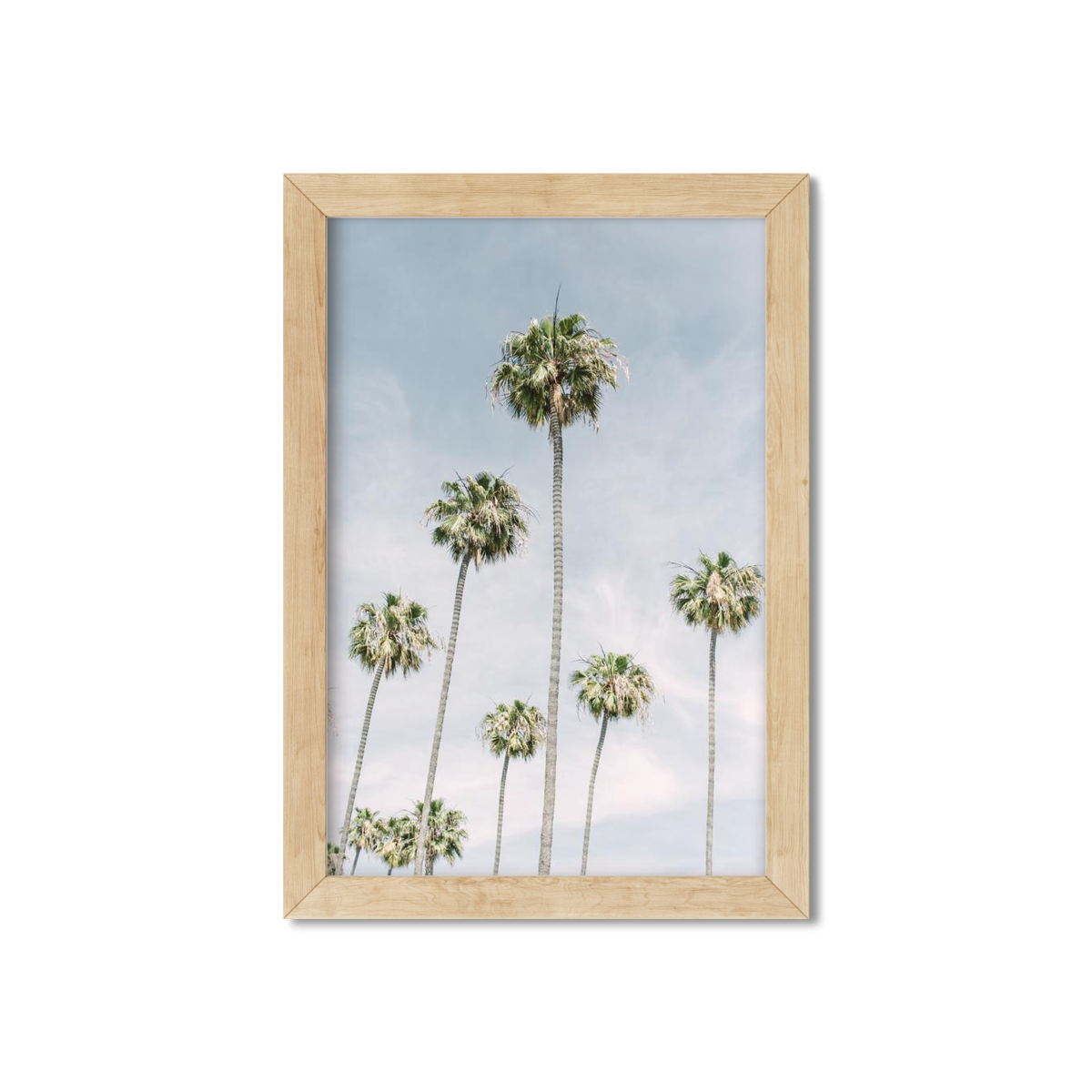 PALM LINE