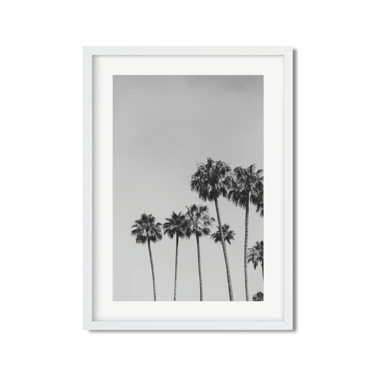 PALM LINE NO. 2