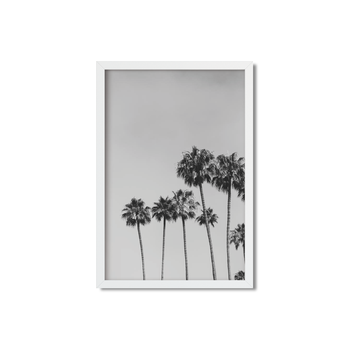 PALM LINE NO. 2