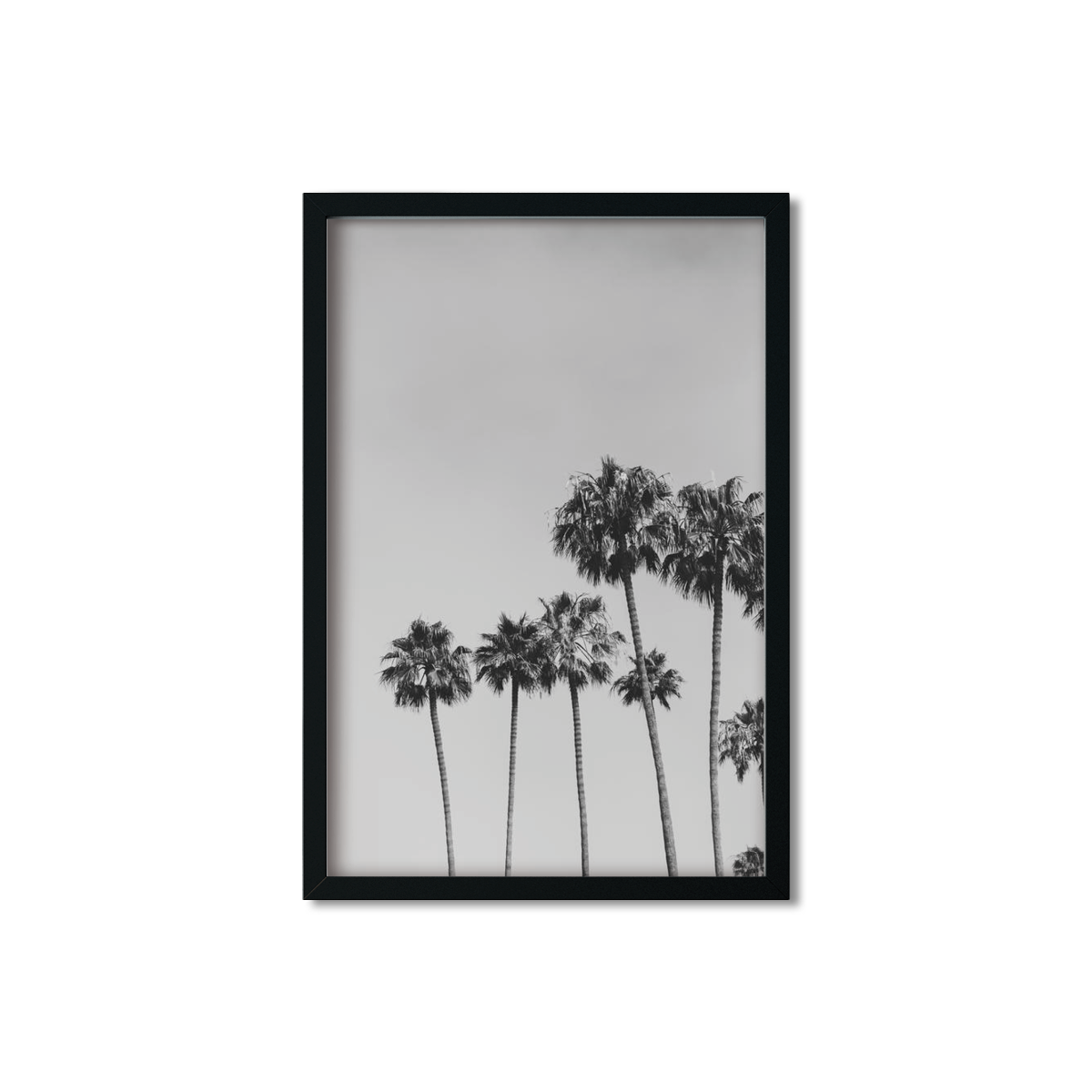 PALM LINE NO. 2