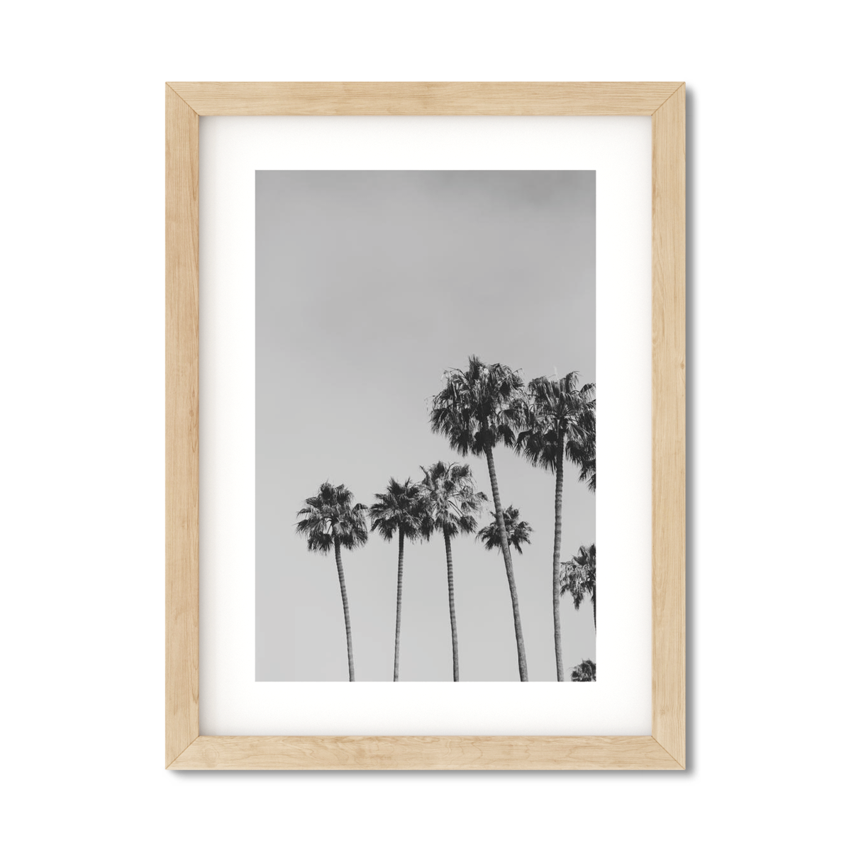 PALM LINE NO. 2
