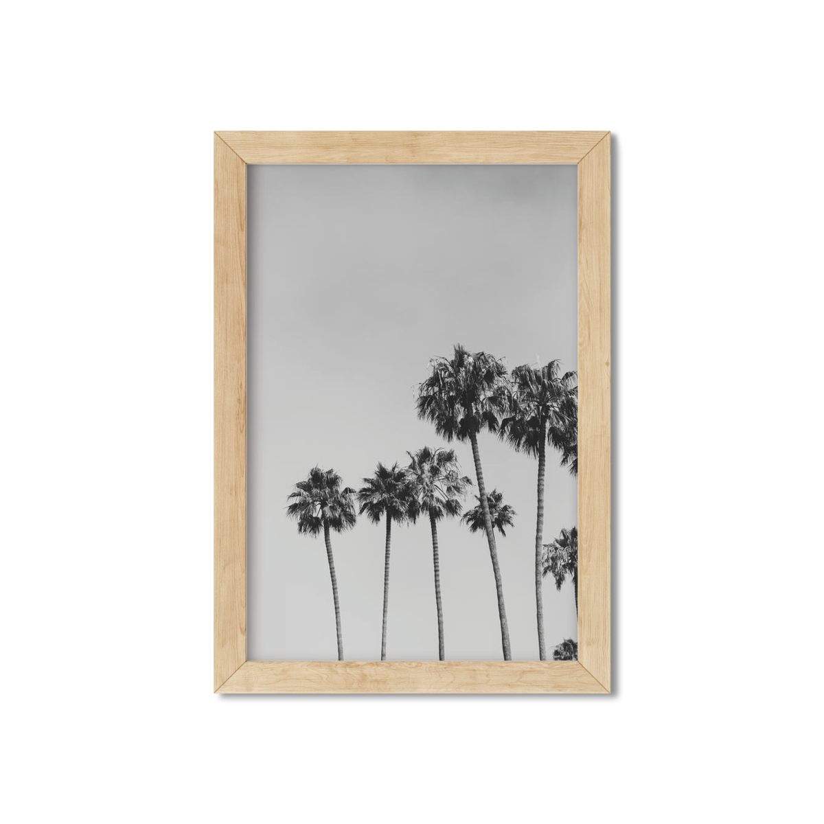 PALM LINE NO. 2