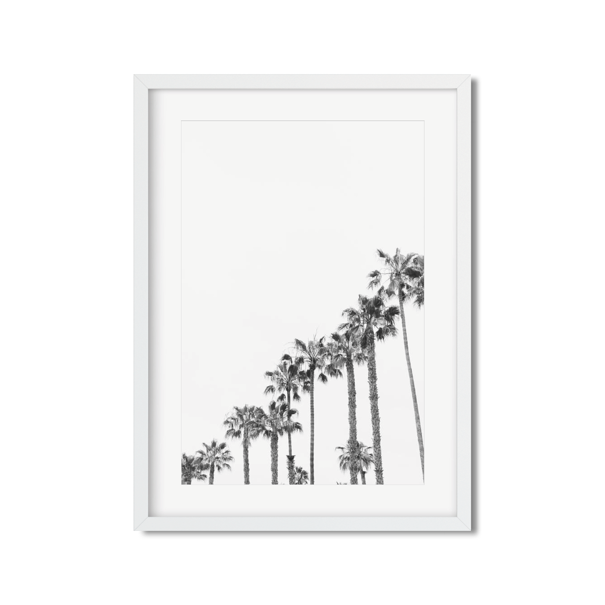 PALM LINE NO. 3