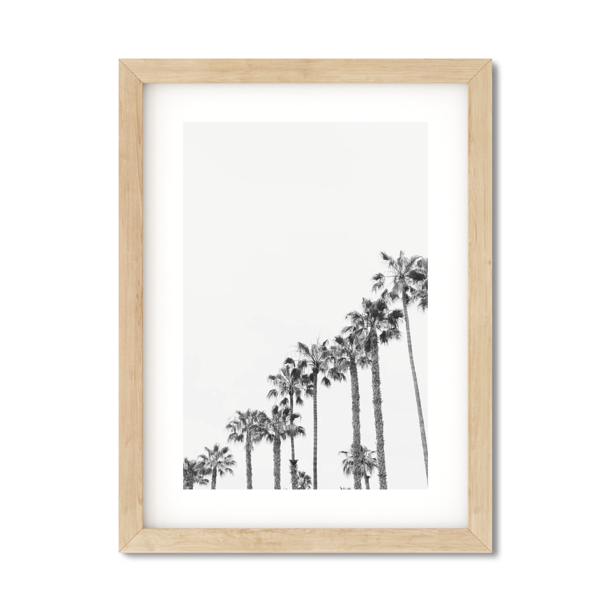 PALM LINE NO. 3