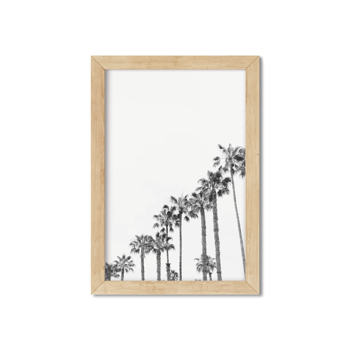 PALM LINE NO. 3