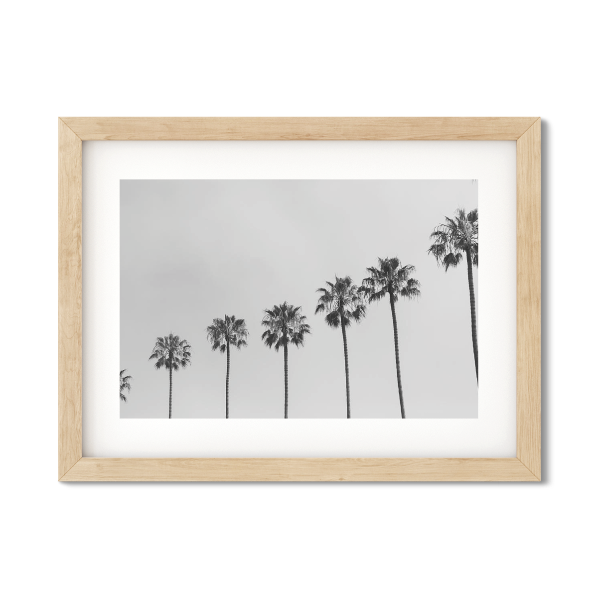 PALM LINE NO. 5