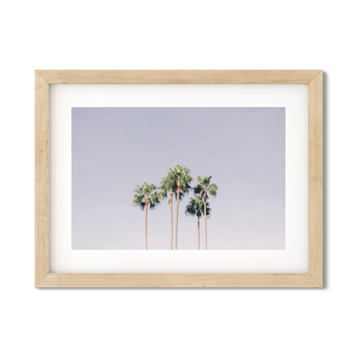PALM LINE NO. 6