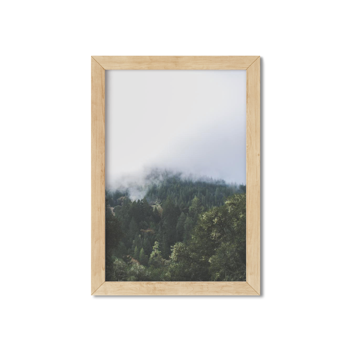 PINES