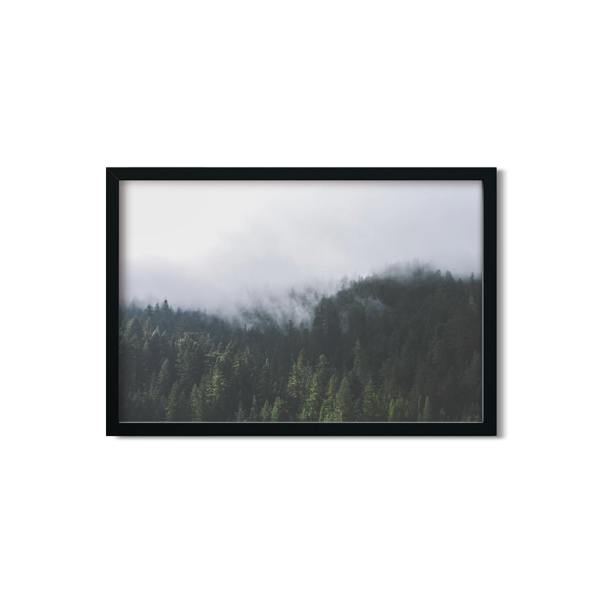 PINES NO. 2