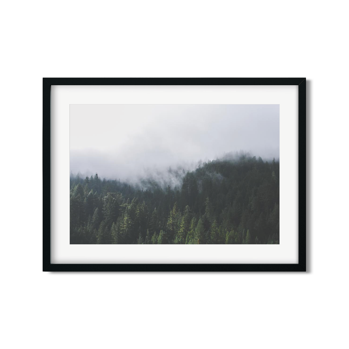 PINES NO. 2