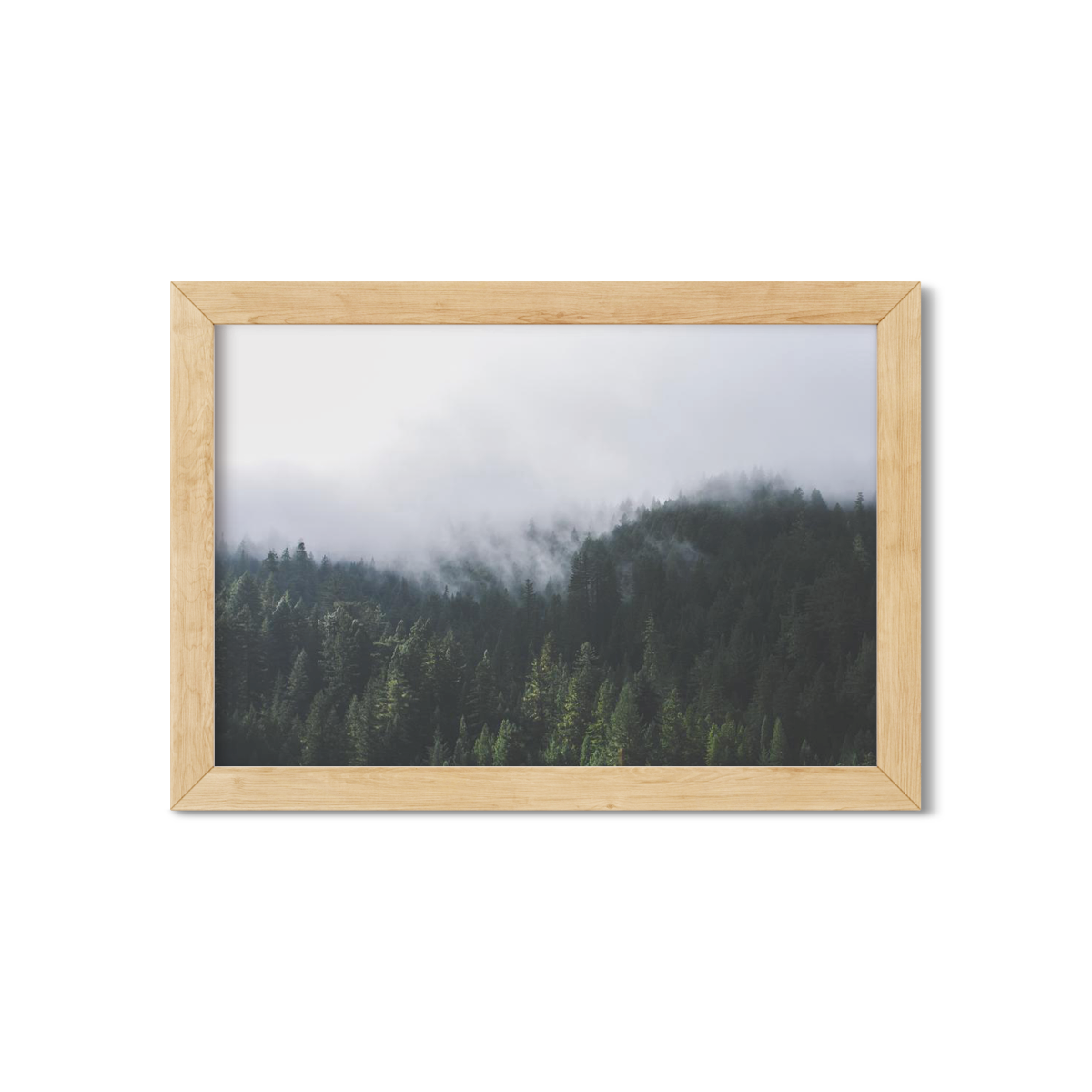 PINES NO. 2