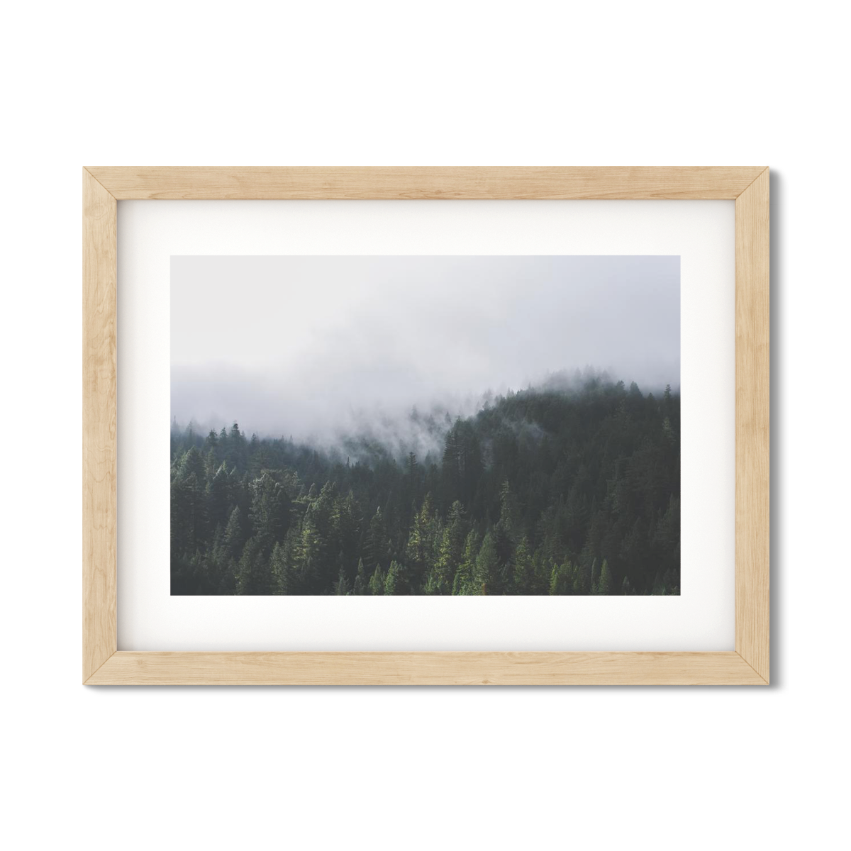 PINES NO. 2