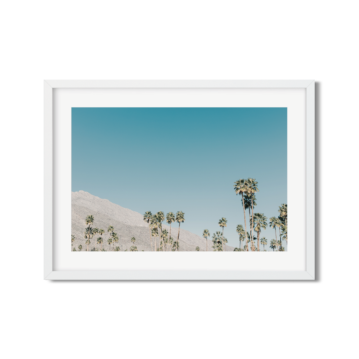 PALM SPRINGS NO. 3
