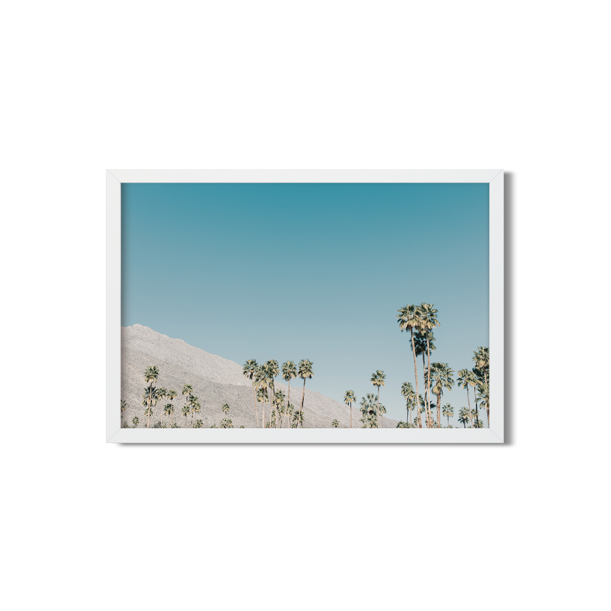 PALM SPRINGS NO. 3