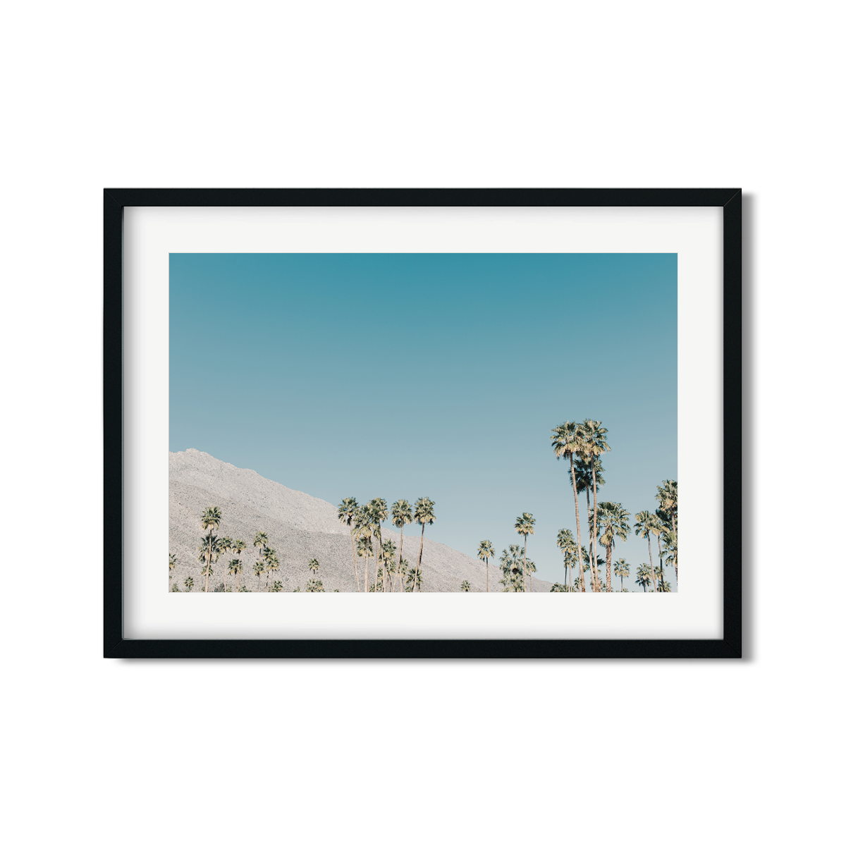 PALM SPRINGS NO. 3