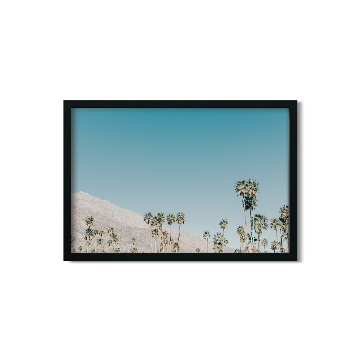 PALM SPRINGS NO. 3