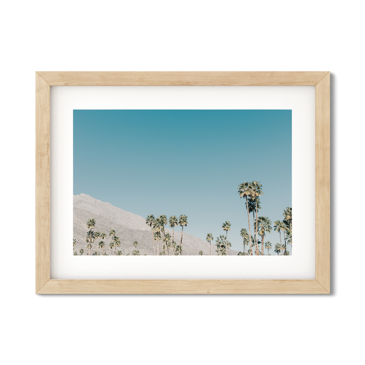 PALM SPRINGS NO. 3