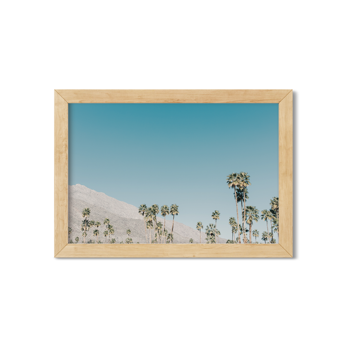 PALM SPRINGS NO. 3