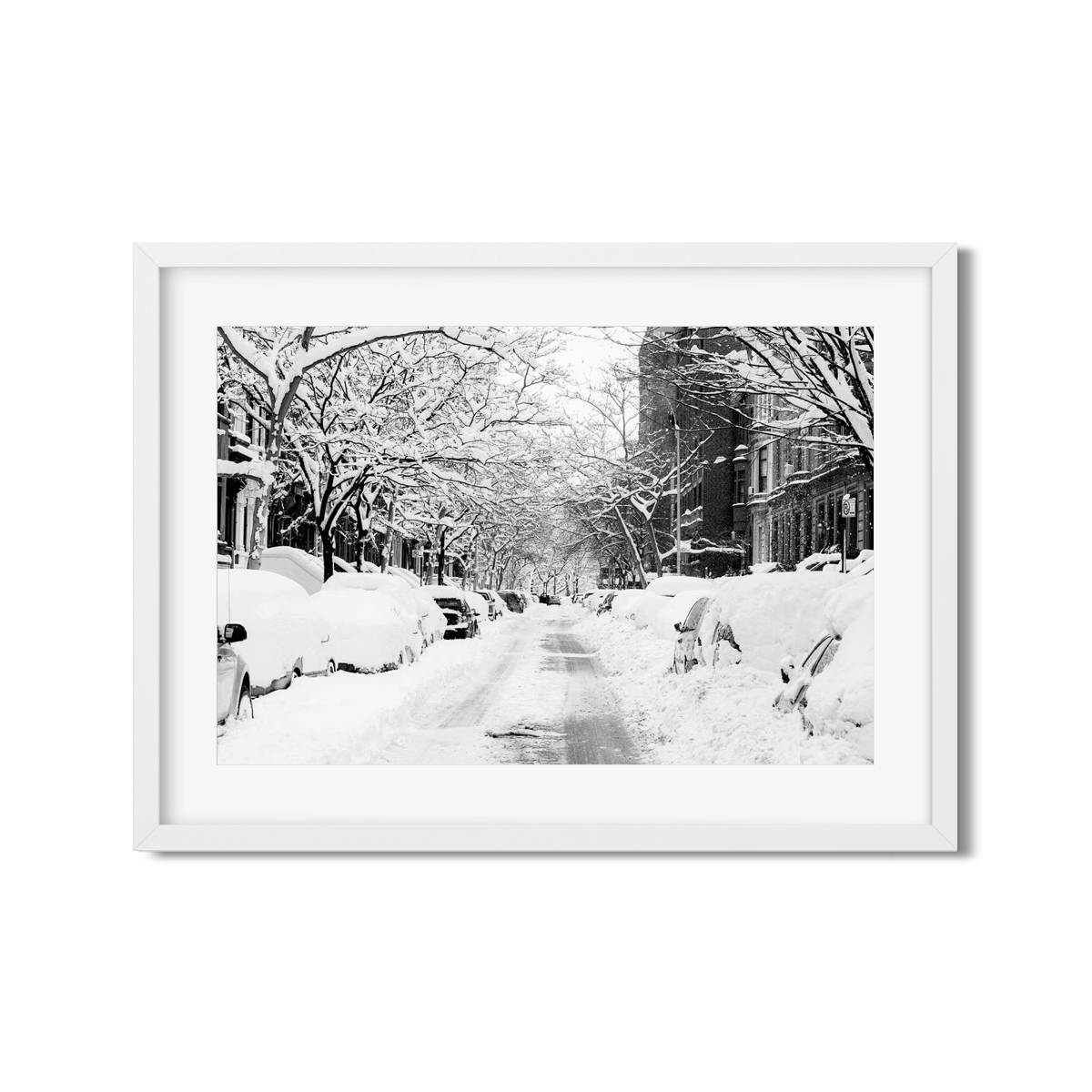 SNOW DAY