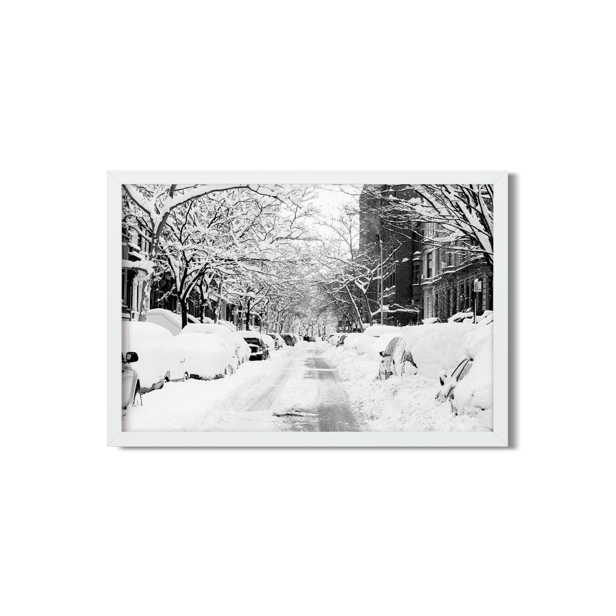 SNOW DAY