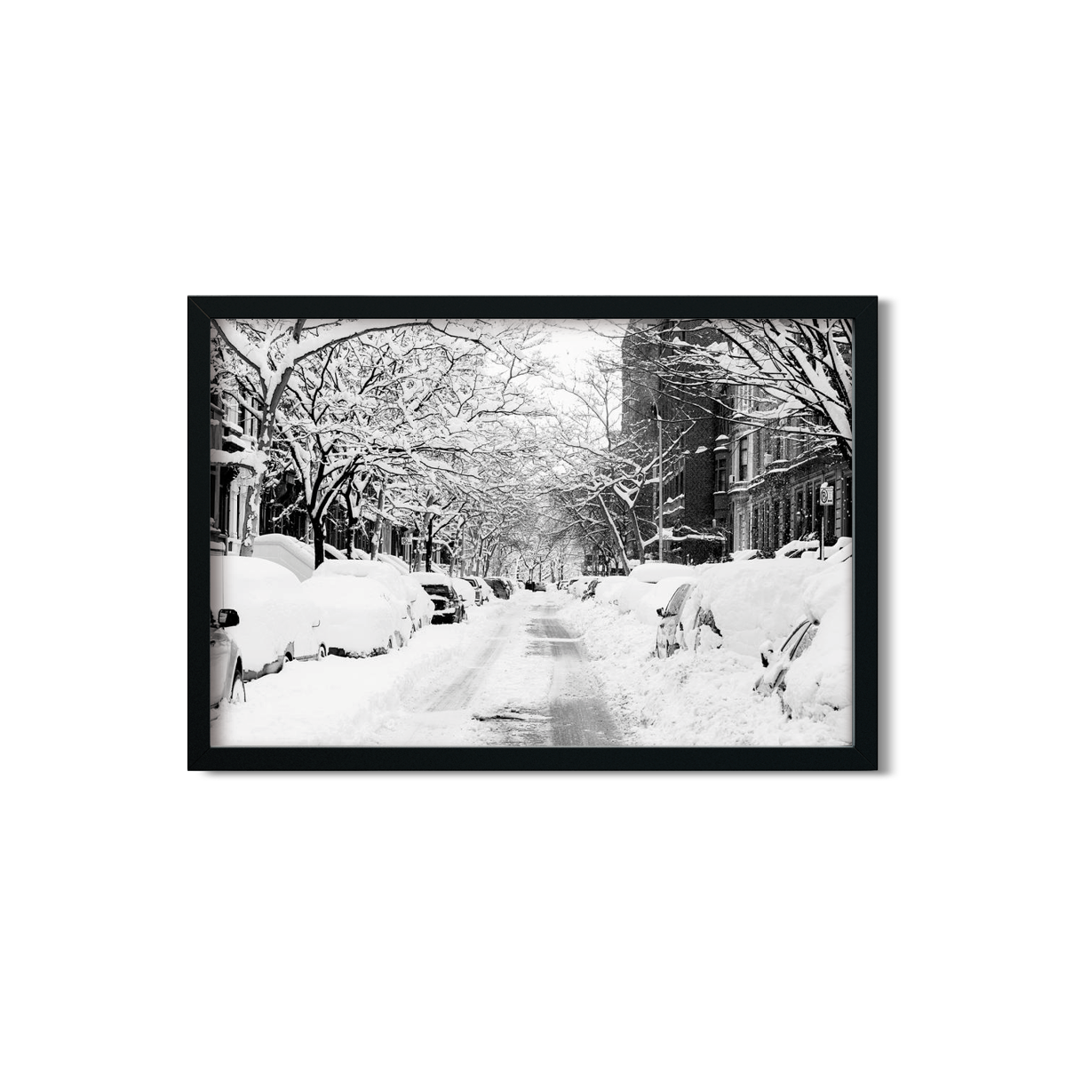 SNOW DAY