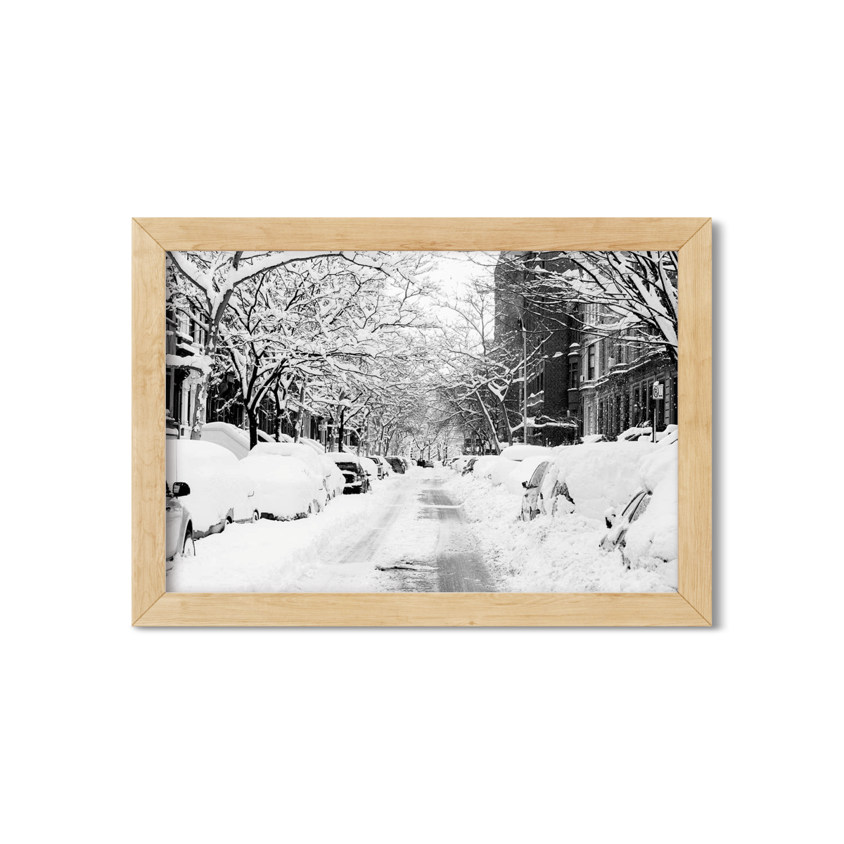 SNOW DAY