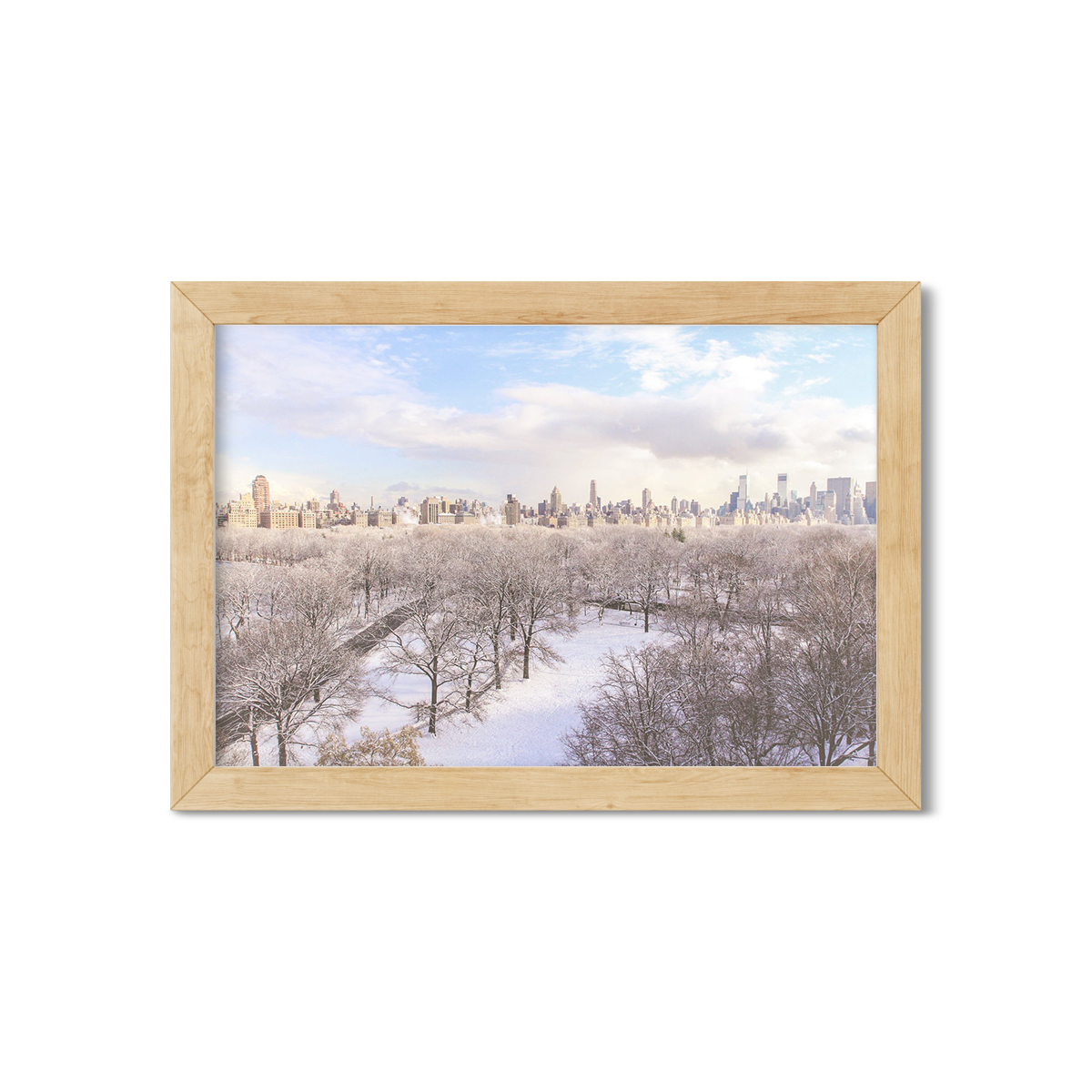 SNOW IN CENTRAL PARK