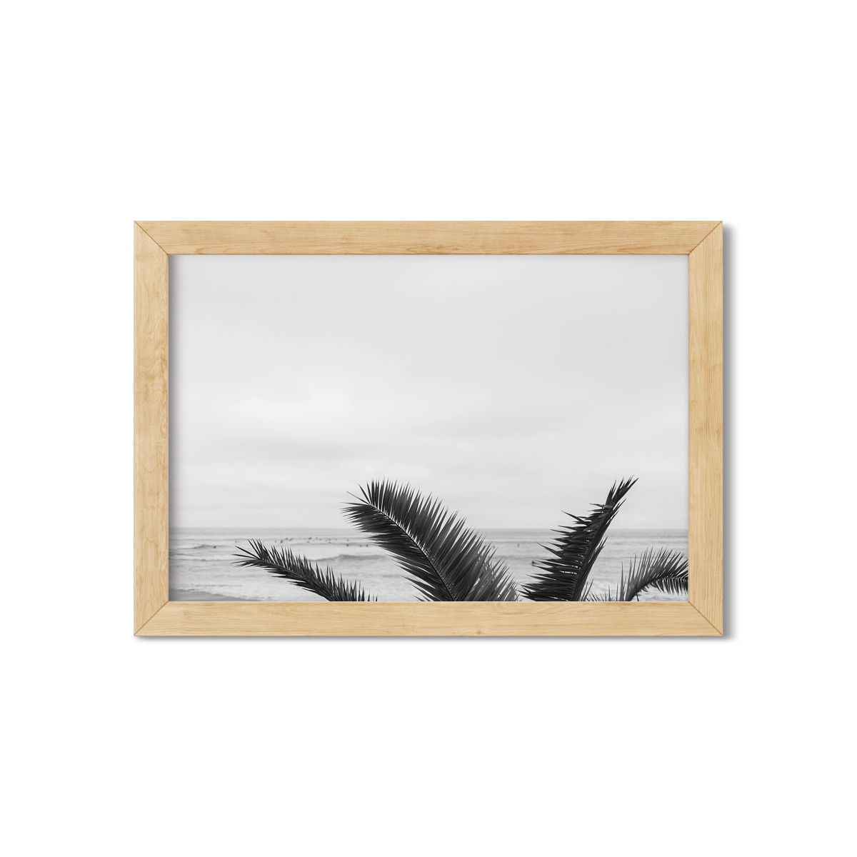 SALT CREEK BEACH NO. 6