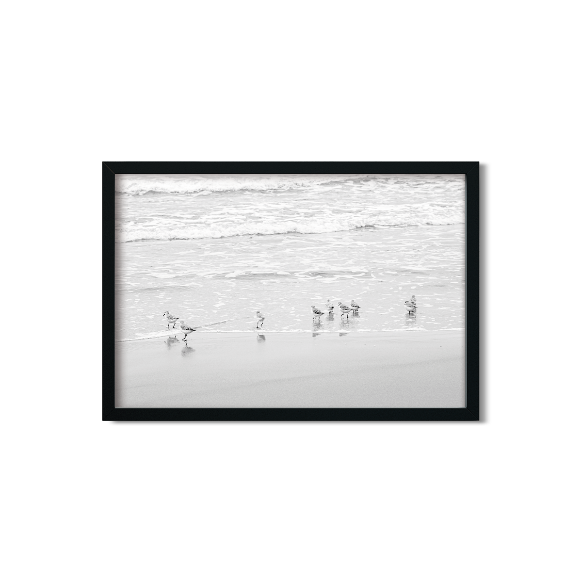 BIRDS NO. 9