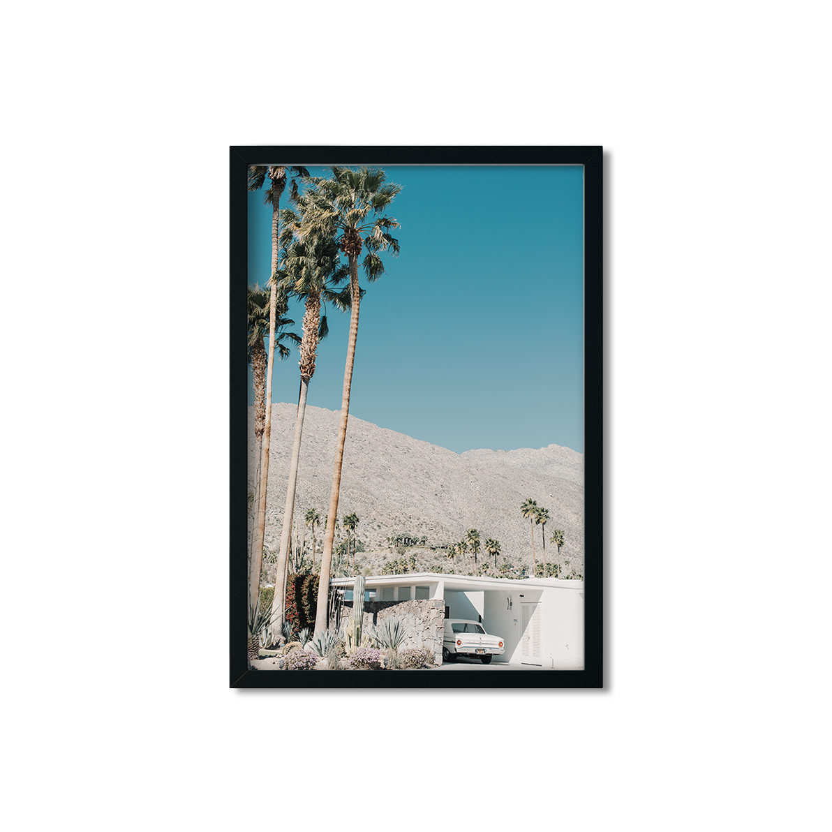 PALM SPRINGS NO. 2