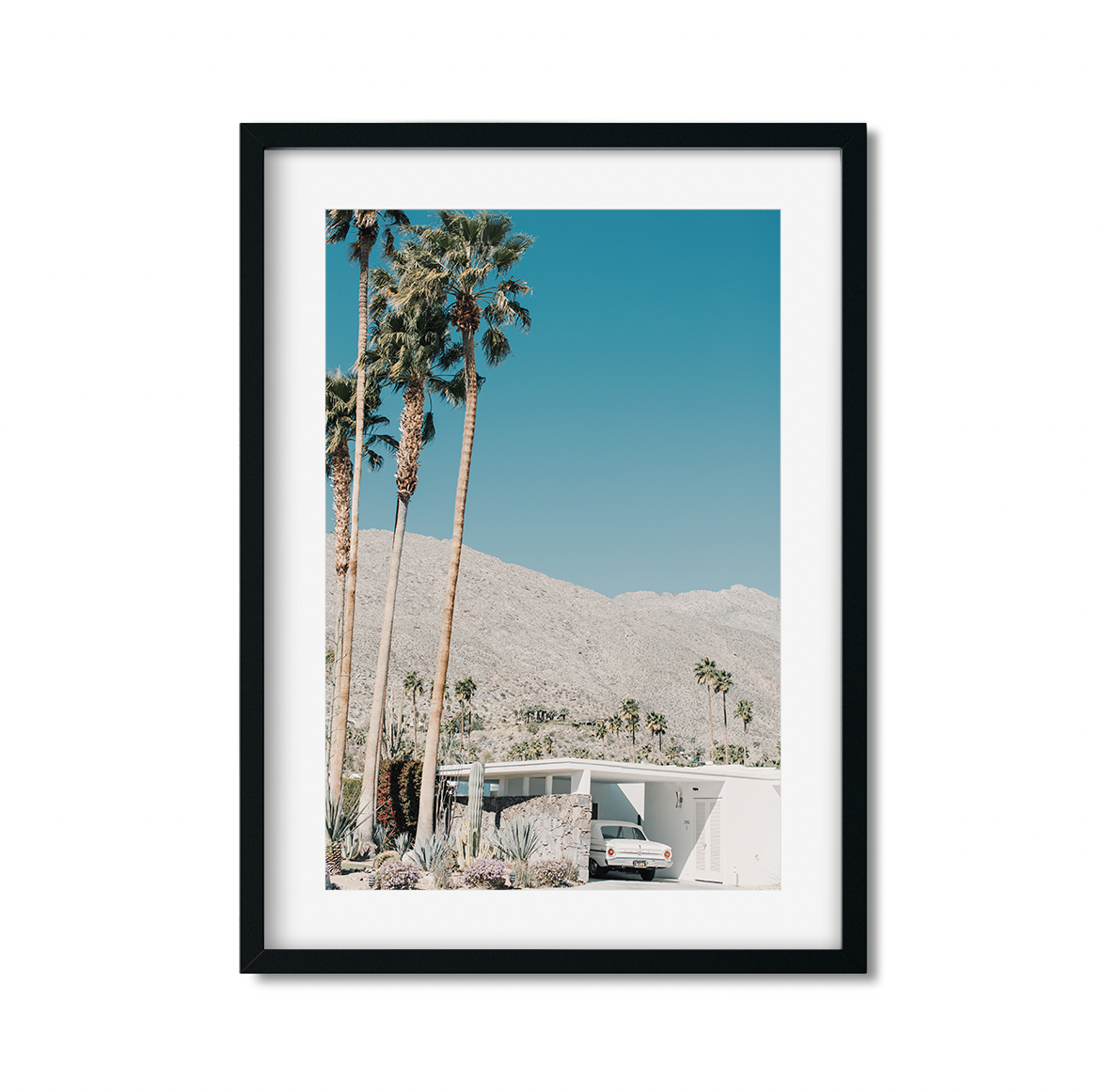PALM SPRINGS NO. 2