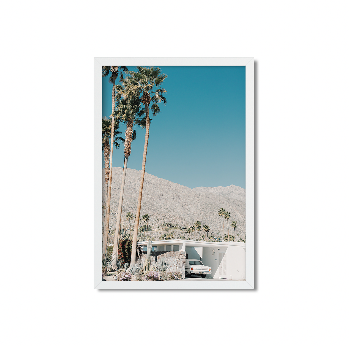 PALM SPRINGS NO. 2